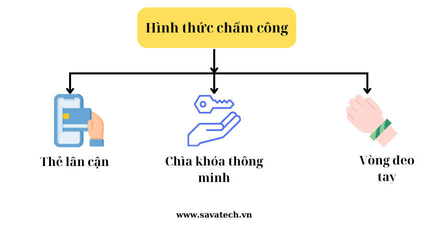 hinh-thuc-he-thong