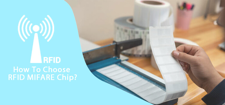 Làm Thế Nào Để Chọn Đúng Chip RFID MIFARE? MIFARE S50 Hay S70 Hay Siêu Nhẹ C? Thông Tin Chi Tiết 