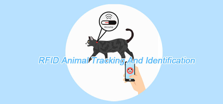 Theo Dõi Và Nhận Dạng Động Vật RFID RFID-DONG-VAT