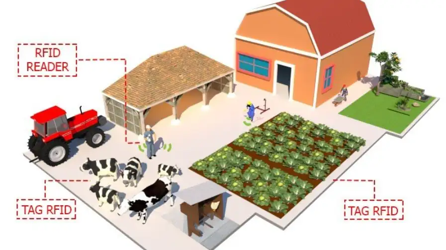 GIẢI PHÁP RFID CHO CHĂN NUÔI RFID Cho Chăn Nuôi