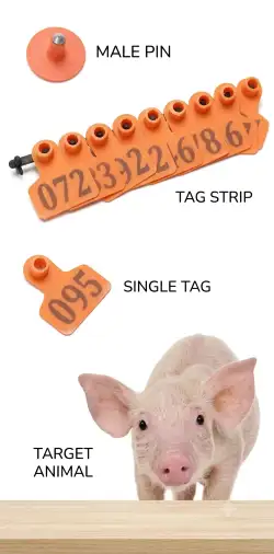 GIẢI PHÁP RFID CHO CHĂN NUÔI RFID Cho Chăn Nuôi